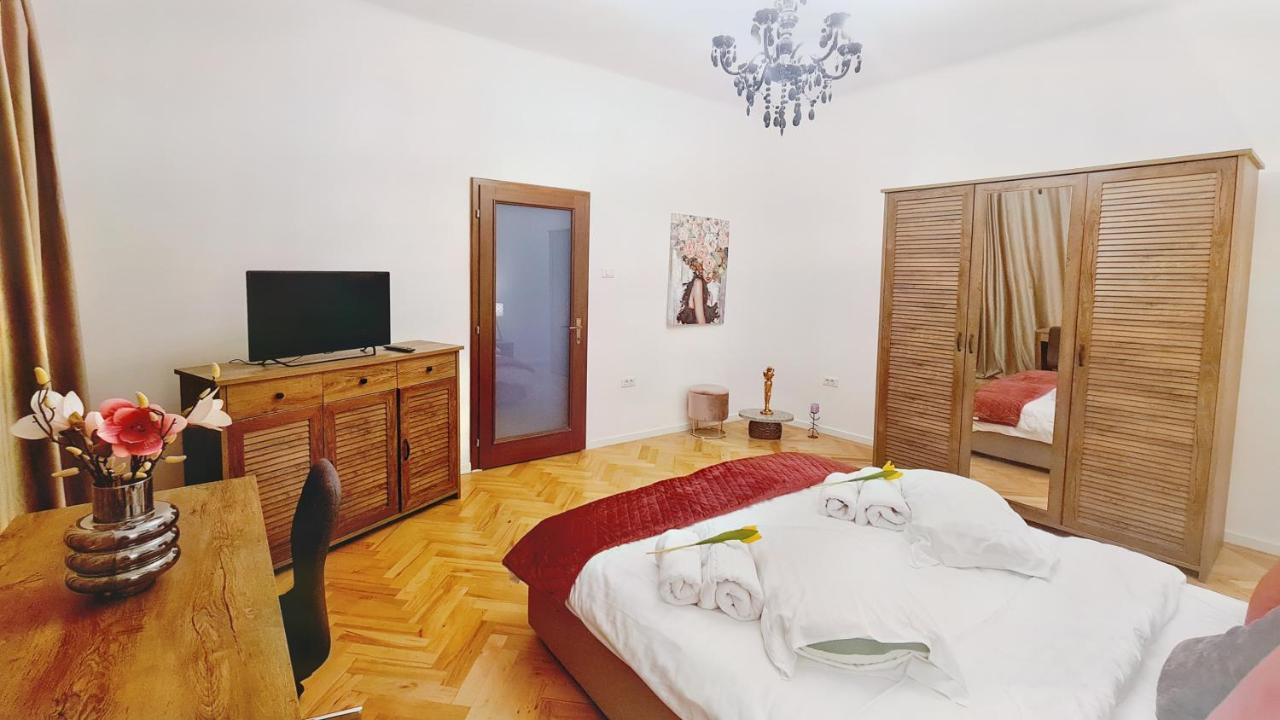 Spacious 5* Luxury In Historic Center Free Parking Cluj-Napoca Eksteriør bilde