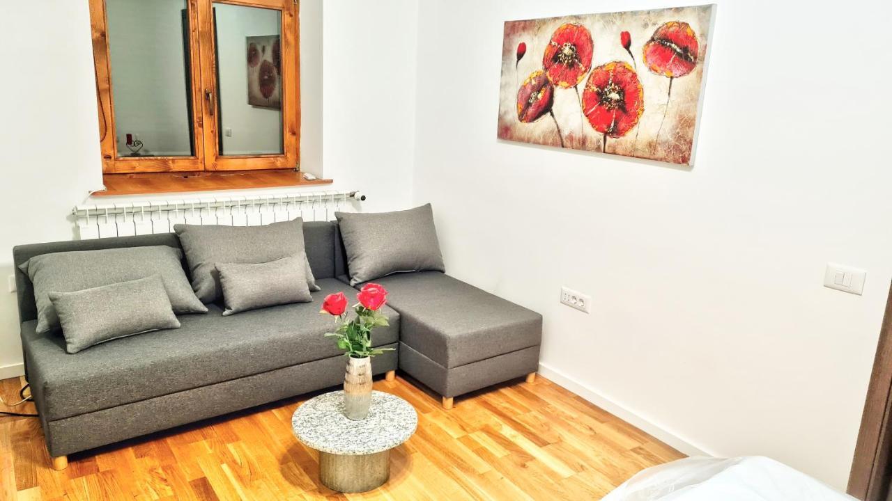 Spacious 5* Luxury In Historic Center Free Parking Cluj-Napoca Eksteriør bilde